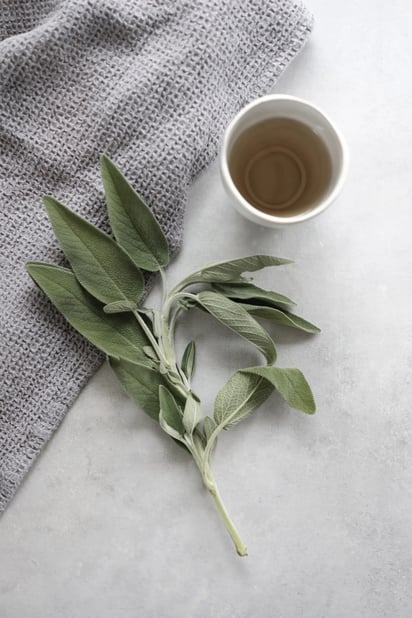 El té de salvia es un buen auxiliar para cubrir las canas.