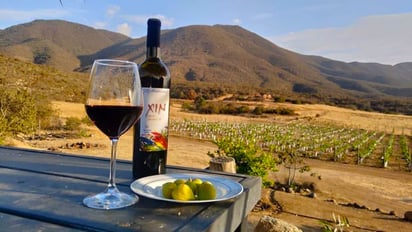 Ruta del vino
