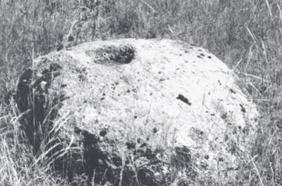Recorrido. Entre las evidencias encontradas y publicadas por los investigadores hay piedras talladas, utilizadas en ceremonias.