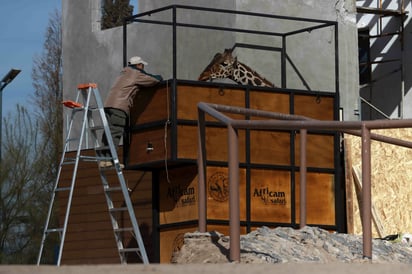 (Foto: Agencia EL UNIVERSAL/Christian Torres/EELG)