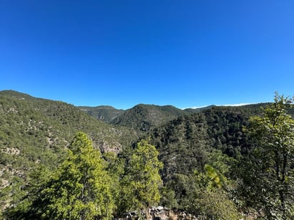 Diversidad
Se trata de un sitio del municipio de Durango que no solamente tiene una gran riqueza de fauna, sino en el rubro forestal.