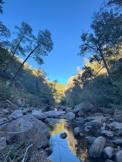 Entorno

Una vez llegando al arroyo Los Otates, los visitantes se encontrarán con un ambiente de silencio y contacto total con la naturaleza.