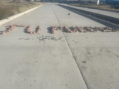Cerrada. Se mantiene cerrado el paso a automovilistas para evitar que se arruine lo que ya se hizo.