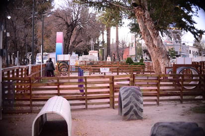 Equipo. Los parques para perros deben contar con el equipo necesario para poder entrenar y ejercitar a nuestro canino, así como con los gimnasios que ocupamos los humanos.