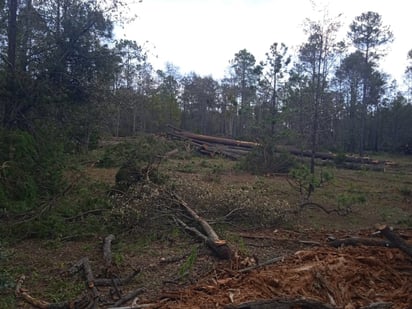 Ecocidio. No se respeta ningún espacio, ya sea a pie de carretera o a la orilla de los ríos.
