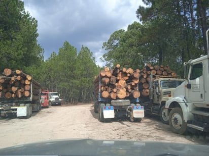 Bloqueos. Habitantes impidieron el paso de los camiones que ya estaban cargados; a otros se les permitió dejar la carga y seguir.