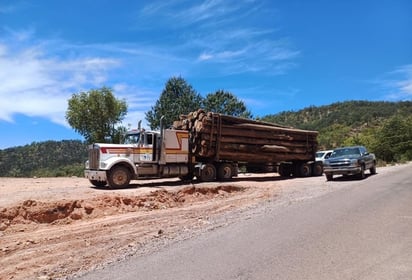 Detenido. No se permitió que siguieran con la explotación forestal, pero saben que es temporal.