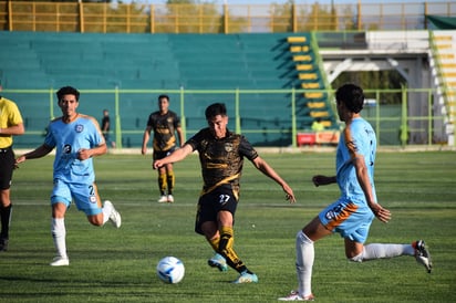 Agenda. Miecoles en Matamoros y sábado en el Zarco serán los juegos de semifinales de Alacranes y Gavilanes.