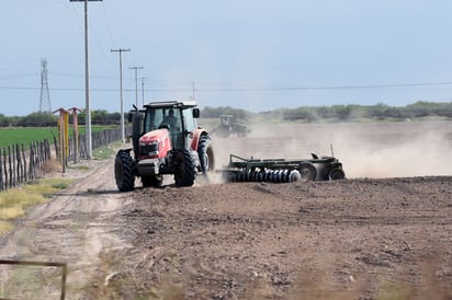 Oportunidad. En estos momentos, los trabajadores más cotizados son los operadores de tractores, quienes llegan a cobrar la siembra de sus tierras.