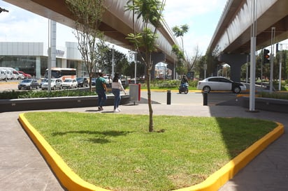 Árboles. Después de la inconformidad de algunos sectores de Durango, se colocaon más de 100 árboles, además de nuevas plantas.