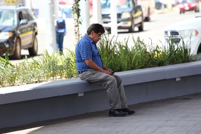 Esparcimiento. La parte inferior del puente Francisco Villa, que ahora luce con muchas plantas, es un lugar de esparcimiento.












