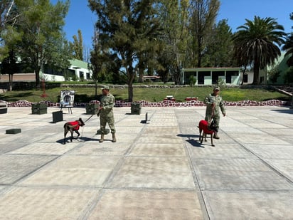 Binomios. El trabajo de humano-canino es importante en la búsqueda y rescate, como en la localización de droga.