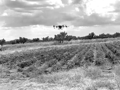Pendiente. Autoridades federales no han determinado los precios para el periodo otoño-invierno.