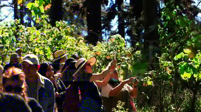 Foto: José A. Rodríguez