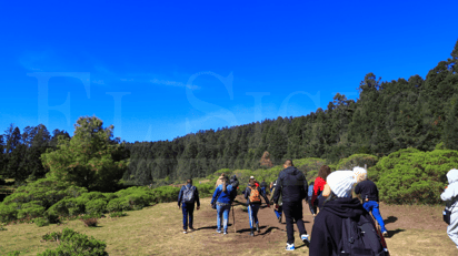 Foto: José A. Rodríguez