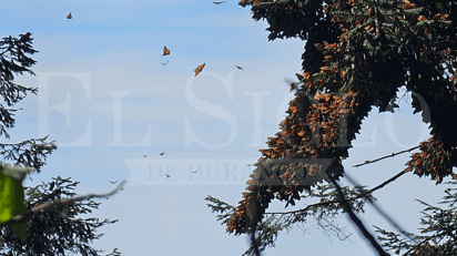 Foto: José A. Rodríguez