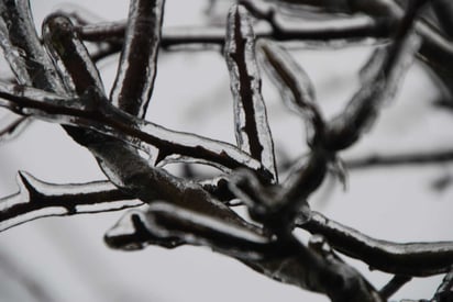 La lluvia engelante genera una fina capa de hielo en todos los objetos que toca.