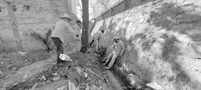 Efecto. Se tuvieron que derribar algunos árboles porque las raíces dañaron el tanque y la tubería.