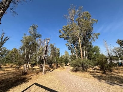 Caminatas. Mucha gente aprovecha los senderos para realizar actividad física al aire libre.