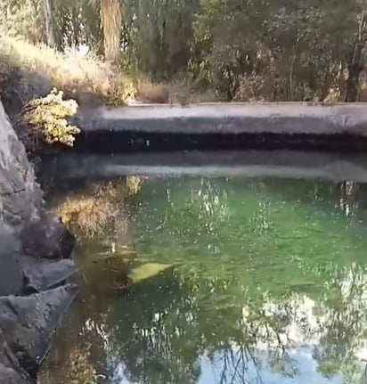 Extracción. Algunos árboles requieren ser retirados o una poda de limpieza.