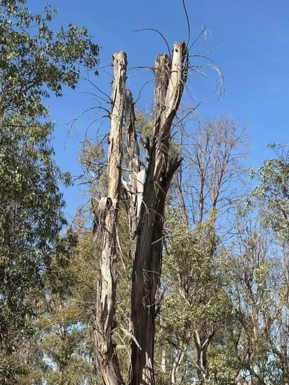 Basura. Botellas de plástico y otros desechos dejan algunos de los visitantes.