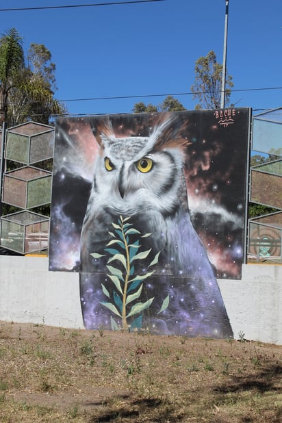 Técnicas. Al igual que con otros medios, el grafiti usa ciertas herramientas para generar un mayor impacto.