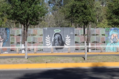 Memoria. Muchas personas recuerdan ciertos eventos a través del arte, como en este caso con el Covid-19.