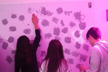 Esta muestra buscó presentar al público el arte a través de su persona y de los sentidos.