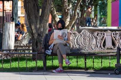 Comportamiento. Este miércoles se conmemora el Día del Libro, una fecha establecida por la Unesco para incentivar y fomentar la lectura a nivel mundial.