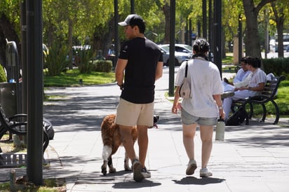 Civilidad. Llevar una bolsa y papel para recoger las heces delos perros es una obligación, pues ayuda a no contaminar y mantiene más limpias las calles.