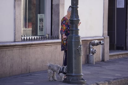 Responsabilidad. Tener un perro o un gato es una gran responsabilidad, por lo que sacarlo a pasear y recoger sus heces es un accionar de todo ciudadano de bien, sin importar su clase social o estrato socioeconómico.