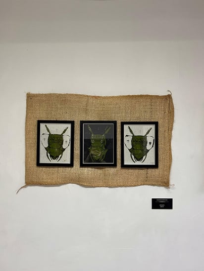 Tan fascinante como Luce, las mantis y las polillas son el epicentro de la obra actual de Randeles.