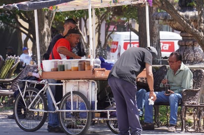 Natural. La deforestación y la falta de árboles en Durango causan gran parte del calor presente en la entidad.