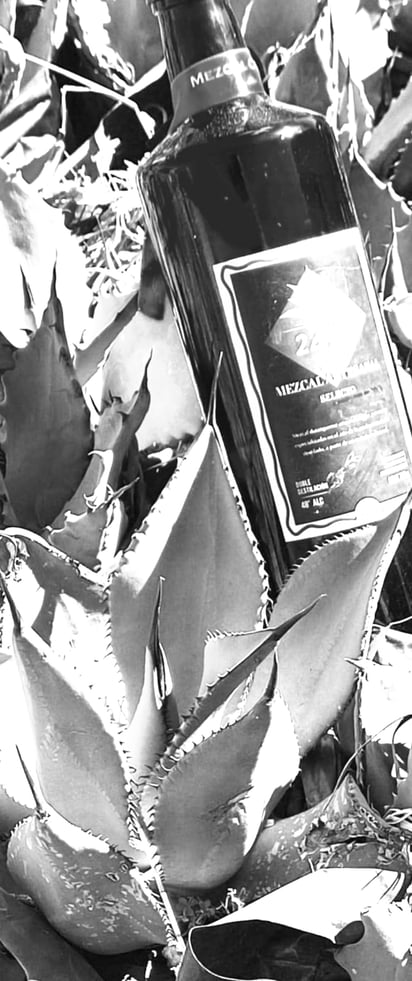 Destacadosl. Durango es de los estados más productores de mezcal en el país, junto con Oaxaca.