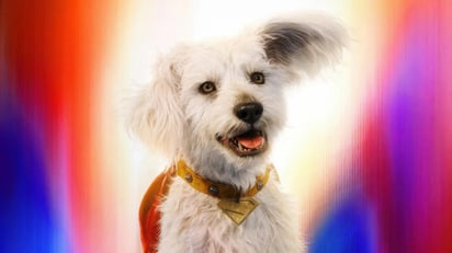 Así luce Krypto, el perro de Superman y quien realiza una aparición estelar en la cinta.