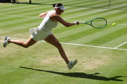 Con 23 años, Amanda Anisimova está firmando su primera final de Grand Slam, en busqueda de hacer historia.
