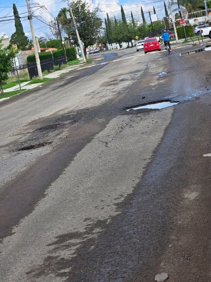 Avenida Real del Mezquital.