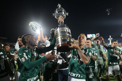 Considerado como uno de los grandes de Brasil, Palmeiras significaría un gran salto en la carrera de Ruíz, jugando Copa Libertadores y disputando el Campeonato Paulista.