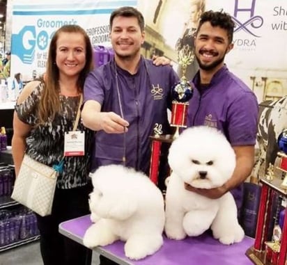 Grooming creativo. Se incorporan elementos artísticos en el corte, diseño y coloración creativa del pelaje, siempre de manera segura para las mascotas.