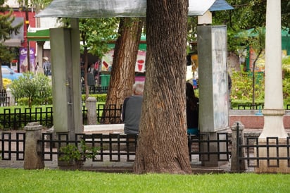 Personas. Todos los días, diversos duranguenses se paran en esta banca para apreciar sus detalles.