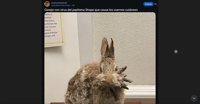 Plataformas como Twitter o Reddit se han llenado de internautas que buscan saber de este extraño fenómeno.