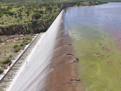 Santa Elena. Esta presa, ubicada en el municipio de Súchil, empezó a verter agua a las 14:00 horas del jueves.