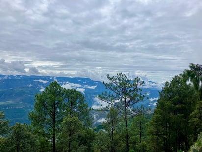 Territorio. A la comunidad pertenecen medio millón de hectáreas.