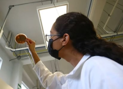 Dedicación. Los investigadores destinan mucho tiempo para desarrollar sus proyectos.