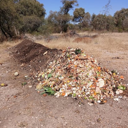 Abono. La composta se puede aplicar en cualquier parte porque es como tierra con nutrientes.