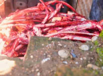 Predio. El domicilio de El Saltito fue asegurado y sus actividades suspendidas debido a diversas irregularidades; falta la investigación del destino de la carne.