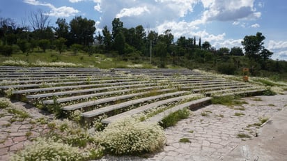 Estado. La concha acústica presenta abandono, vandalismo, pintas, acumulación de basura y maleza sin control, entre otros problemas y focos de infección.
