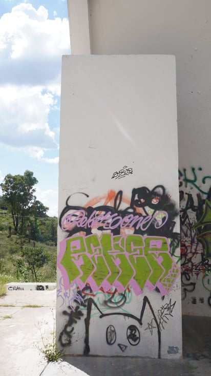 Historia. La Concha Acústica fue entregada en 1974 como parte de un proyecto estatal de infraestructura cultural.