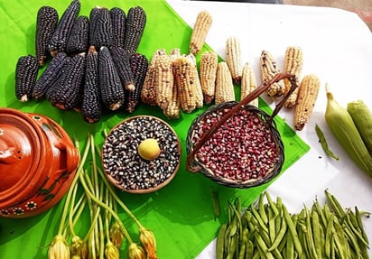 Alimento. El maíz sigue siendo uno de los principales alimentos en las mesas de familias mexicanas, ya sea de la zona rural y urbana.