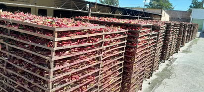 Comercialización. Darán valor agregado a los productos.